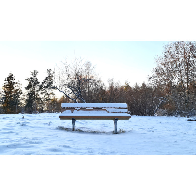 HAGS Bench Standard - For setting in concrete (color: dark brown/galvanized) (8037005)